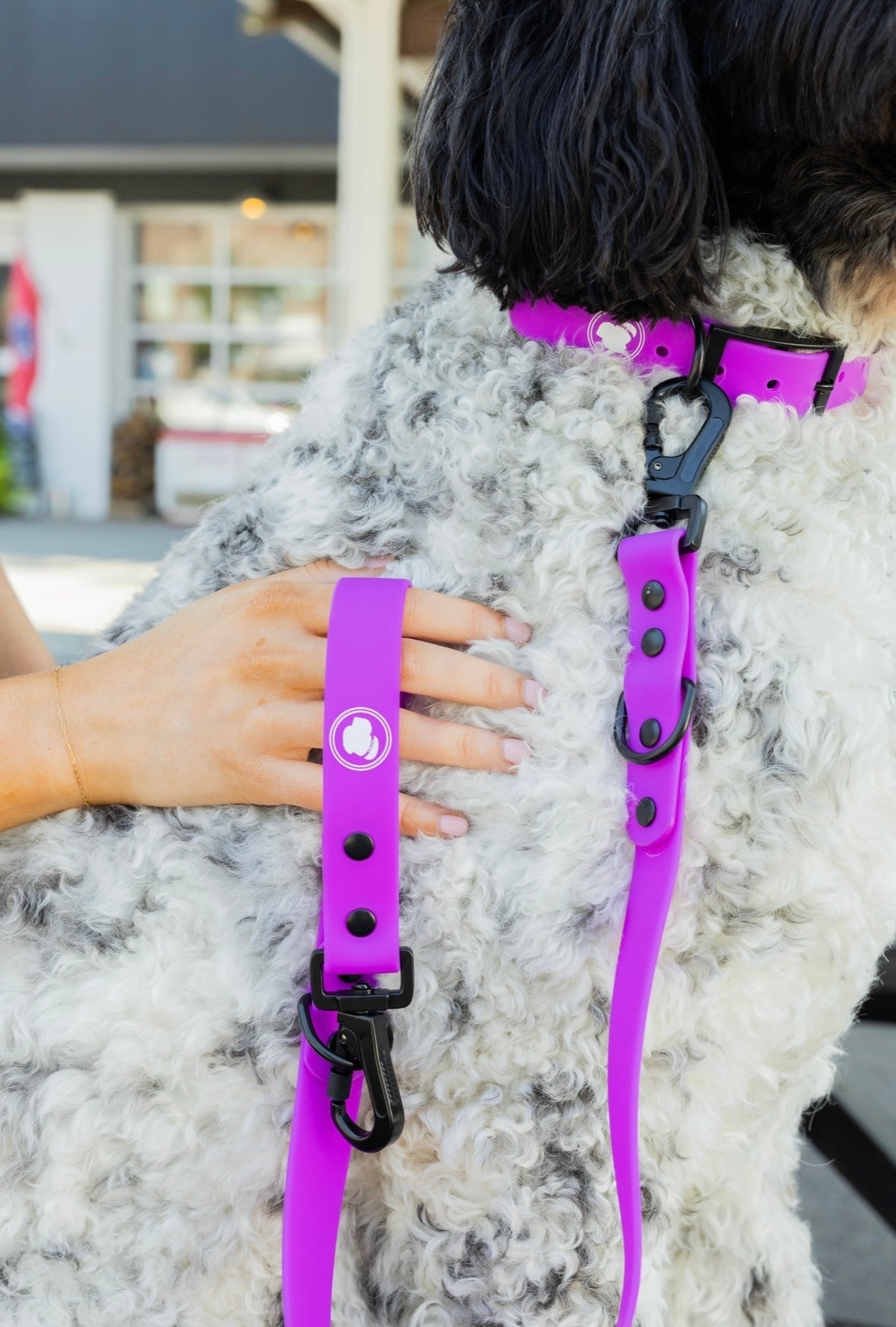 Back to Basics Adjustable Dog Leash, All-Weather, 54" Length
