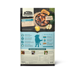 Salmon & Wholesome Grains Adult Dog Food