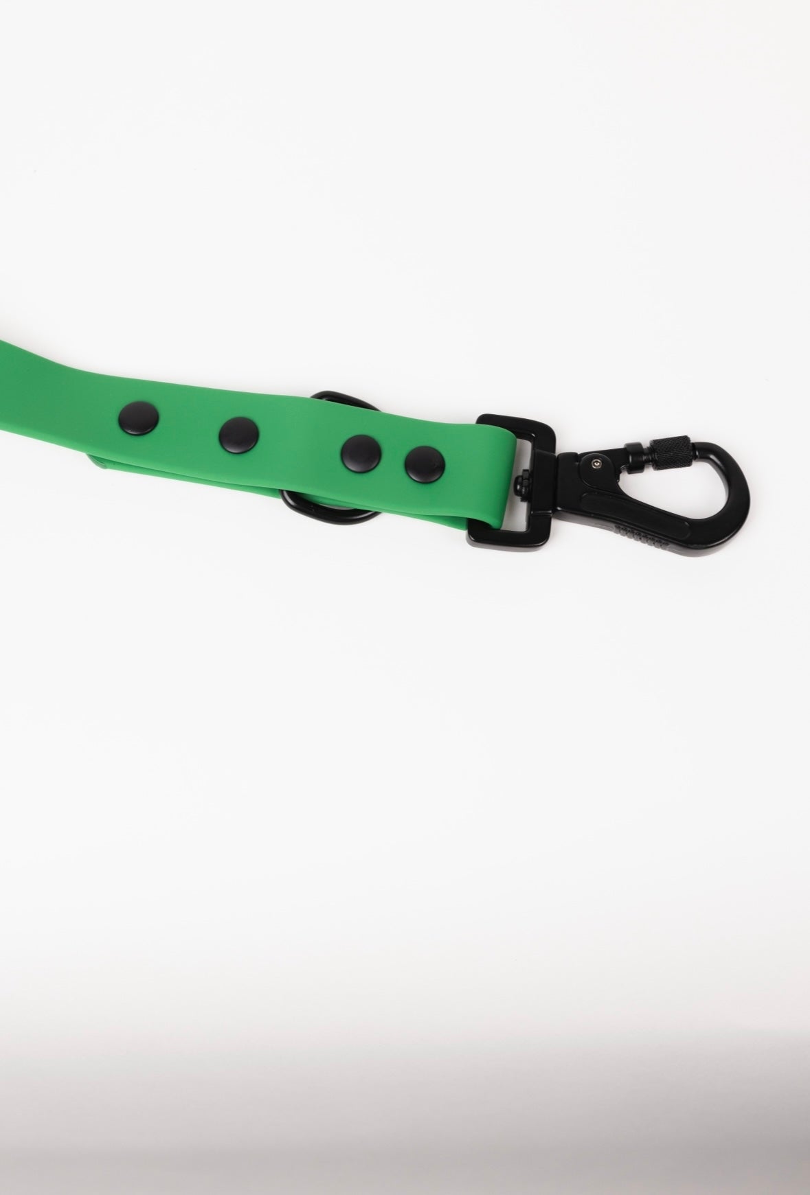 Back to Basics Adjustable Dog Leash – All-Weather, 54" Length