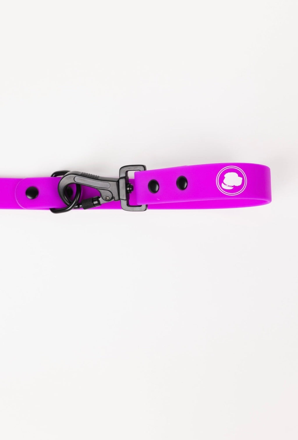 Back to Basics Adjustable Dog Leash, All-Weather, 54" Length