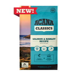 Salmon & Wholesome Grains Adult Dog Food