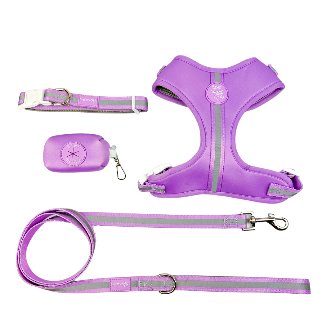 Shine Bright Amethyst Reflective Adjustable Dog Harness