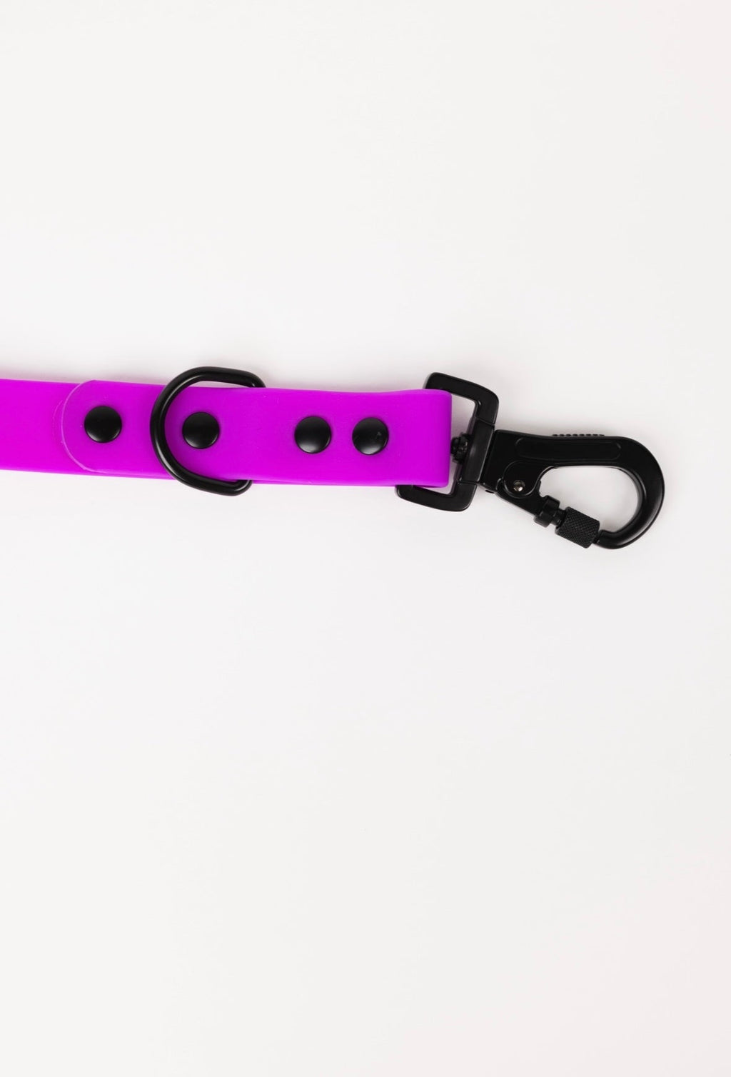 Back to Basics Adjustable Dog Leash, All-Weather, 54" Length