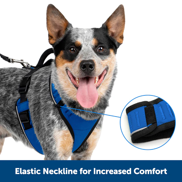 EasySport Dog Harness with Padded Comfort and Reflective Trim