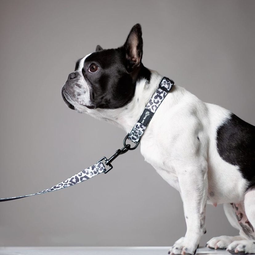 Ever So Wild Adjustable Dog Collar with Neoprene Padding