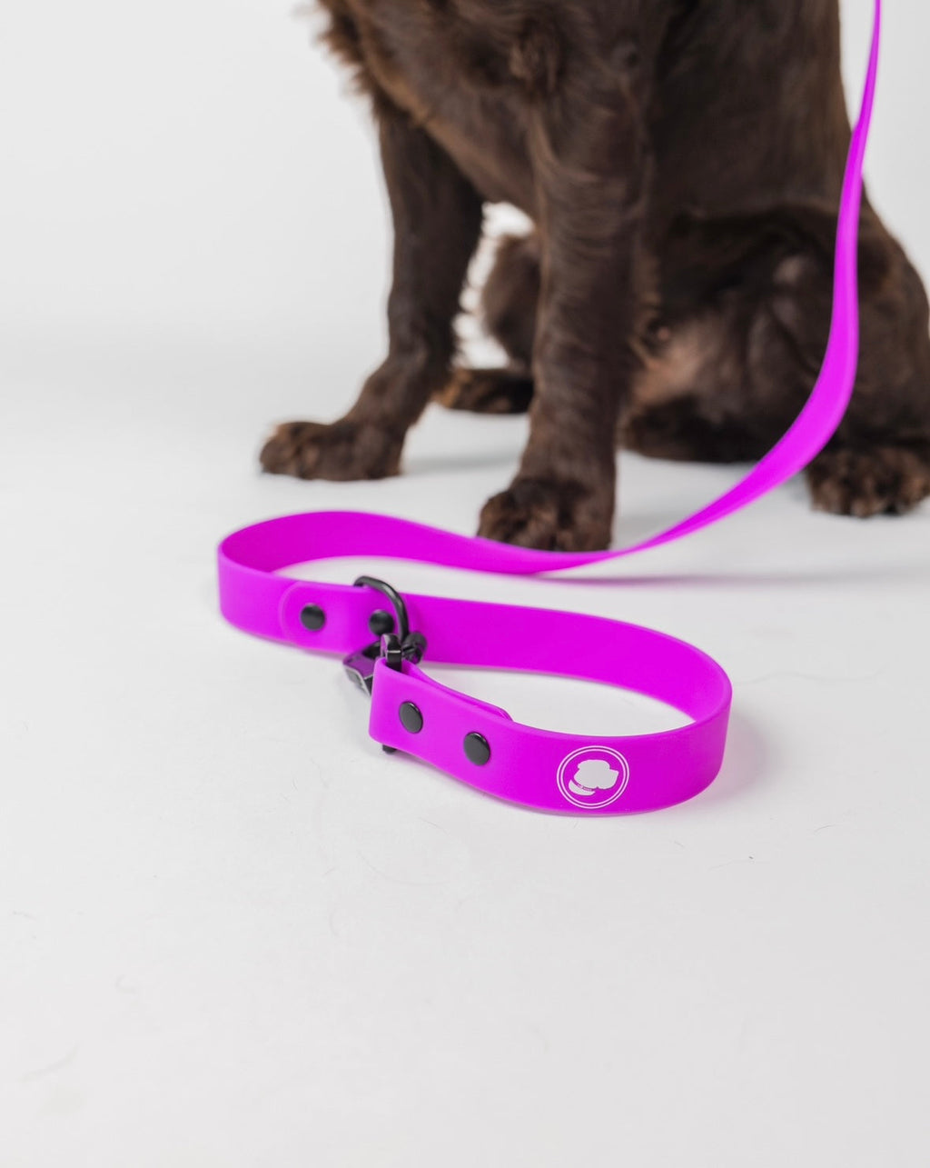 Back to Basics Adjustable Dog Leash, All-Weather, 54" Length
