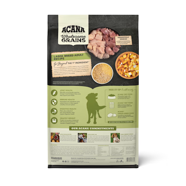Large Breed Dog Food with Chicken, Turkey & Wholesome Grains