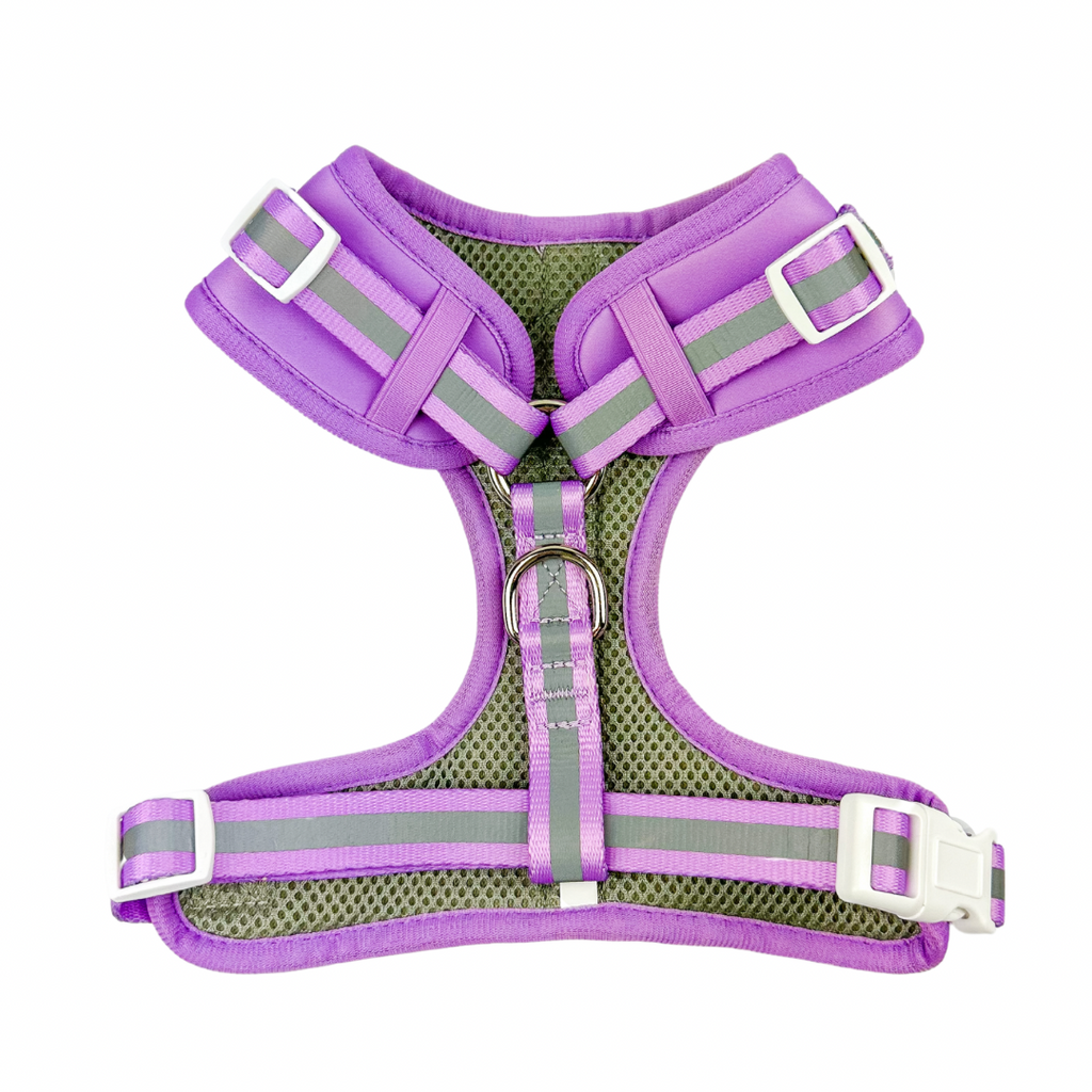 Shine Bright Amethyst Reflective Adjustable Dog Harness