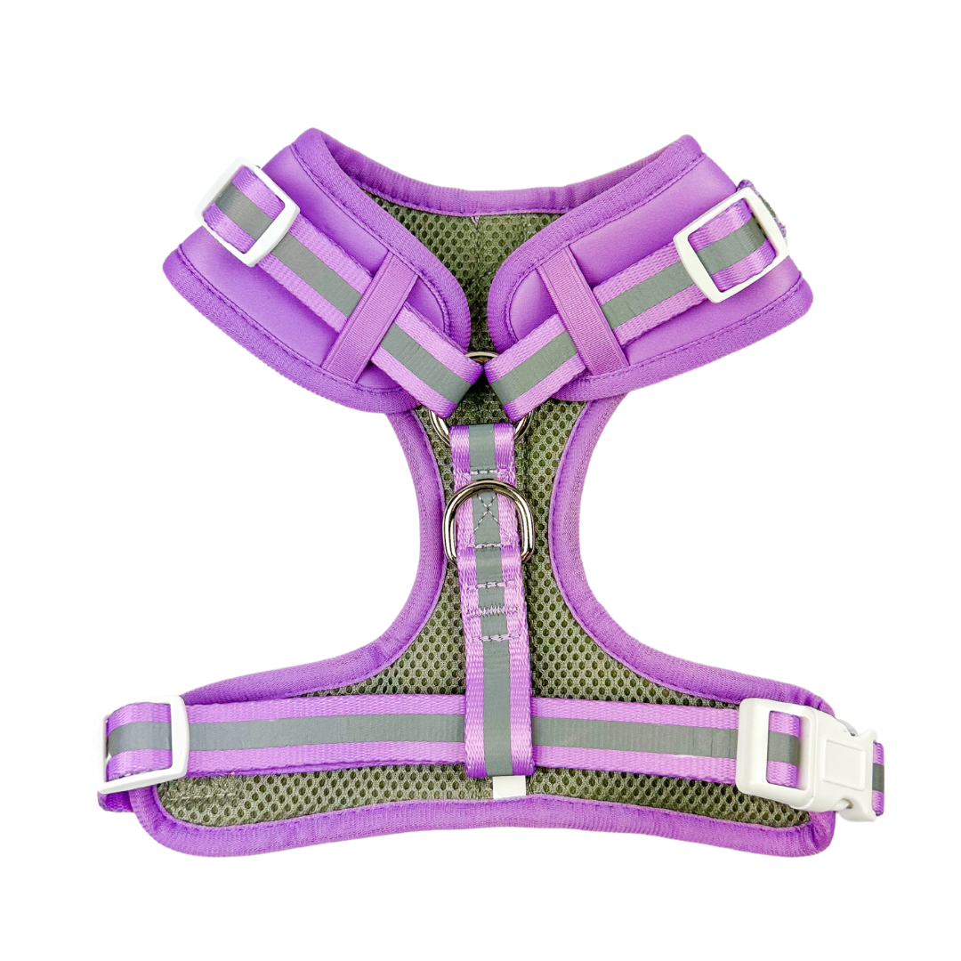 Shine Bright Amethyst Reflective Adjustable Dog Harness