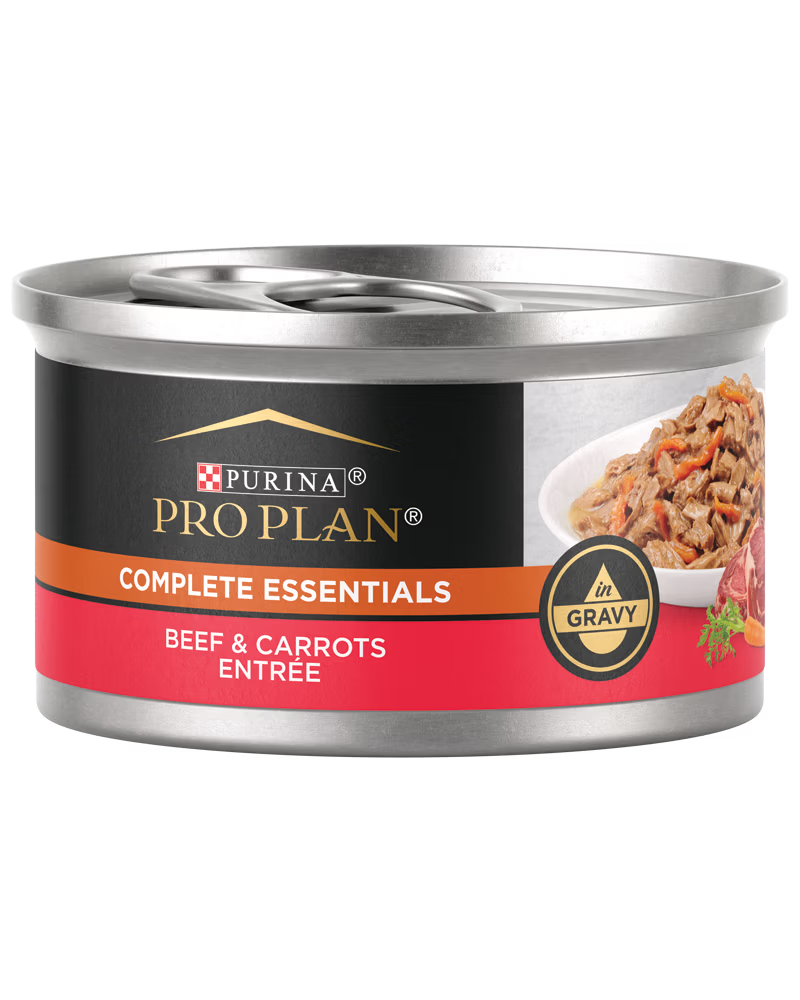 Beef & Carrot Wet Cat Food with Balanced Nutrition