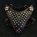 Bestia Frenchie Leather Dog Harness with Studs and Spikes, Black