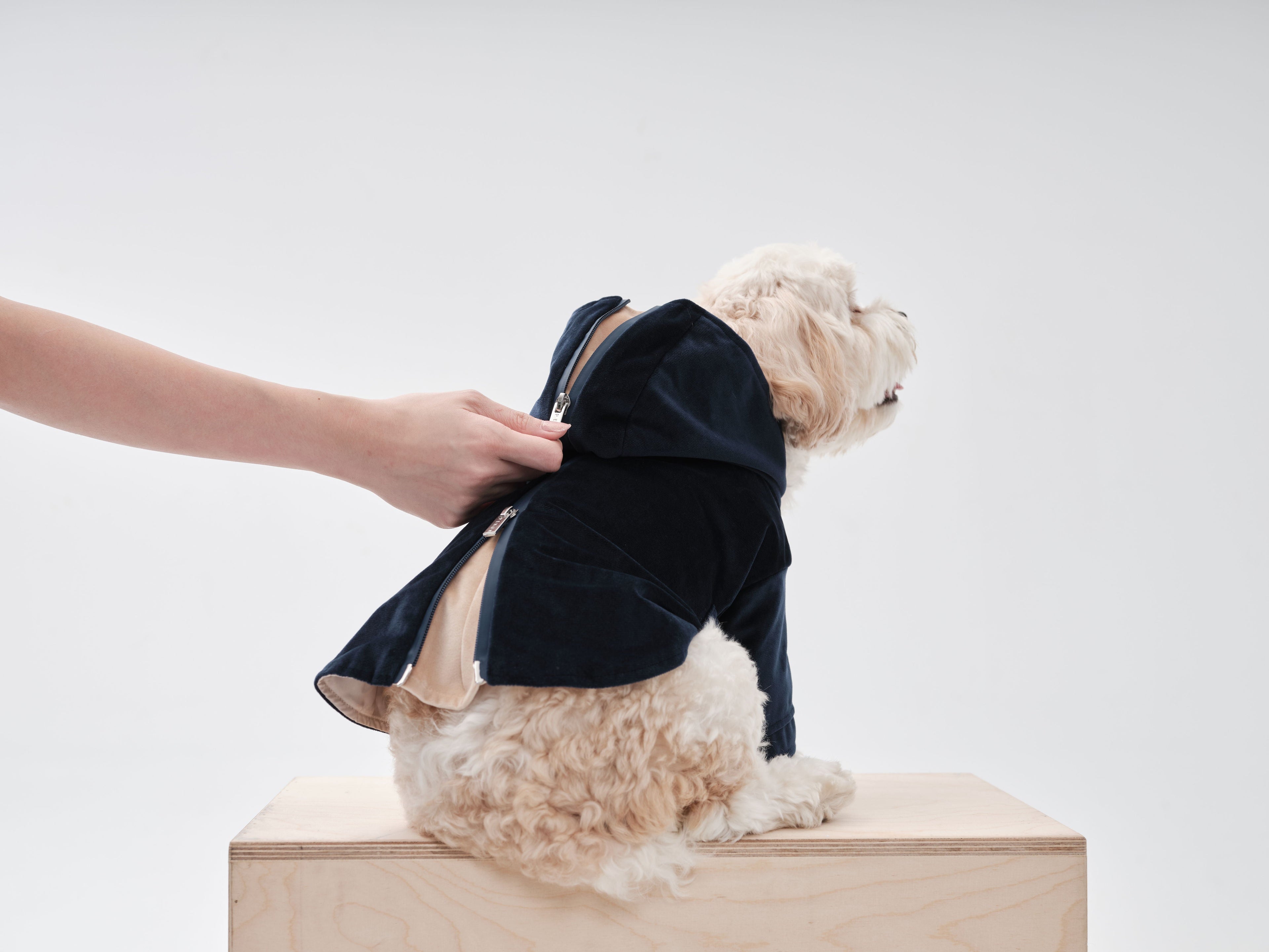 Flannel Pet Jacket with Adjustable Fit – Dark Burgundy or Midnight Blue