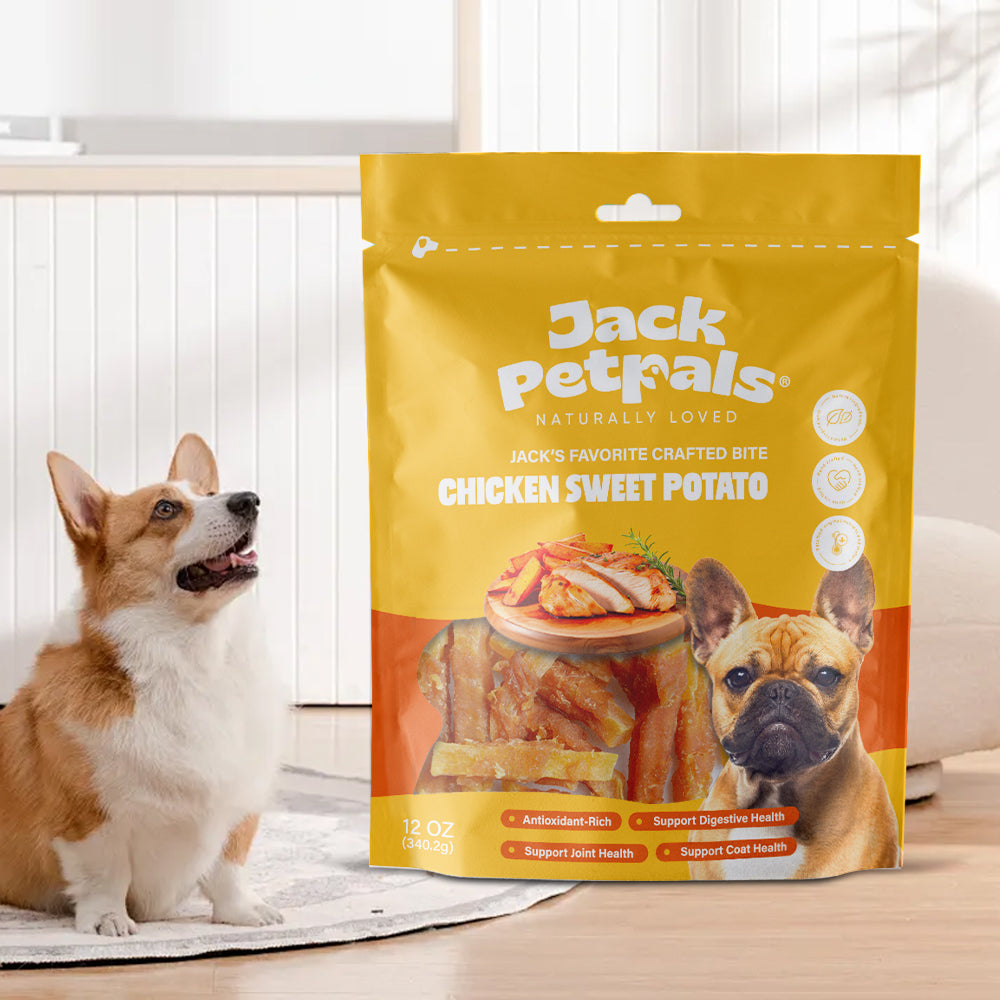 Jack’s Favorite Chicken & Sweet Potato Dog Treats, Soft Bites