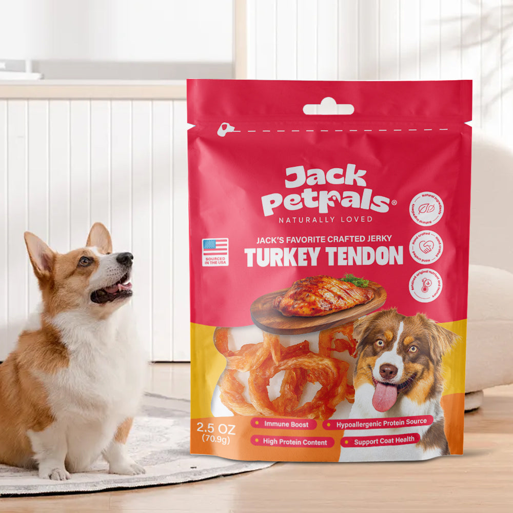 Jack’s Favorite Turkey Tendon Jerky Dog Treats 2.5 oz