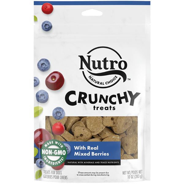 Crunchy Dog Treats with Mixed Berries