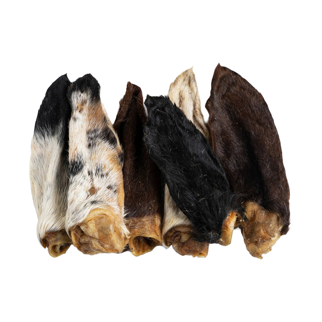 Premium Lamb Ear Dog Chews, 3.5oz Resealable Bag
