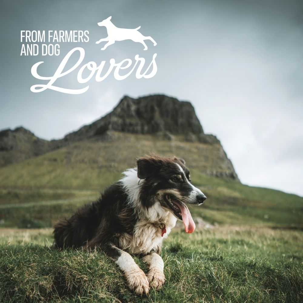 BAFFS NATURALS Lamb Lung Dog Biscuits, Single Ingredient, 2x4oz