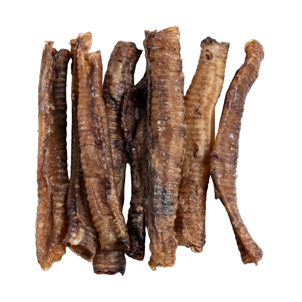 Premium Lamb Trachea Dog Chews – 10 Piece Bags
