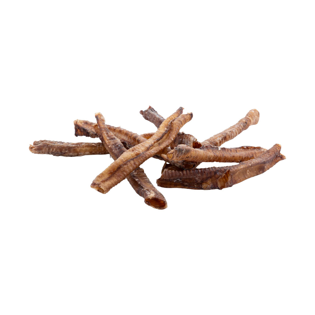 Premium Lamb Trachea Dog Chews – 10 Piece Bags
