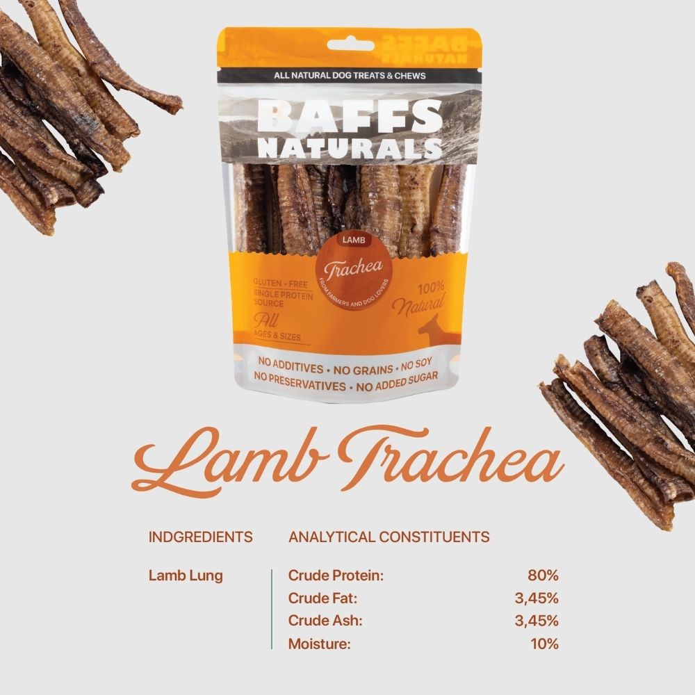 Premium Lamb Trachea Dog Chews – 10 Piece Bags