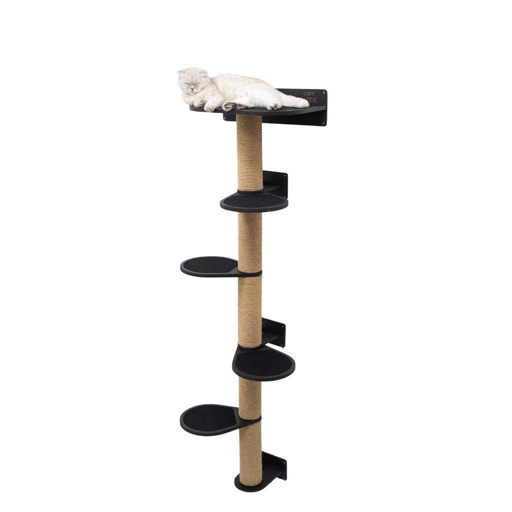 Large Cat Tree – Black, Multi-Level with Felt Beds