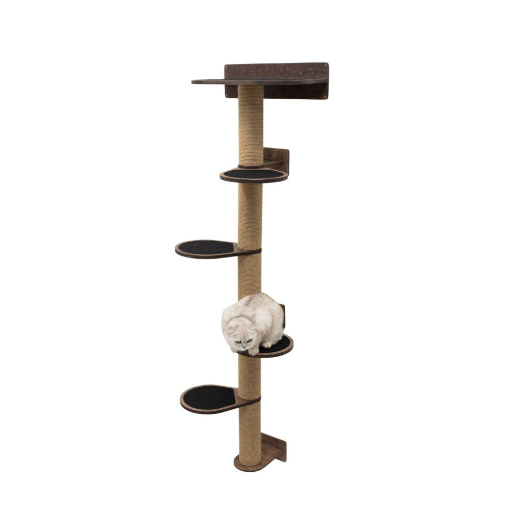 Large Cat Tree in Dark Walnut – Multi-Level Cat Furniture