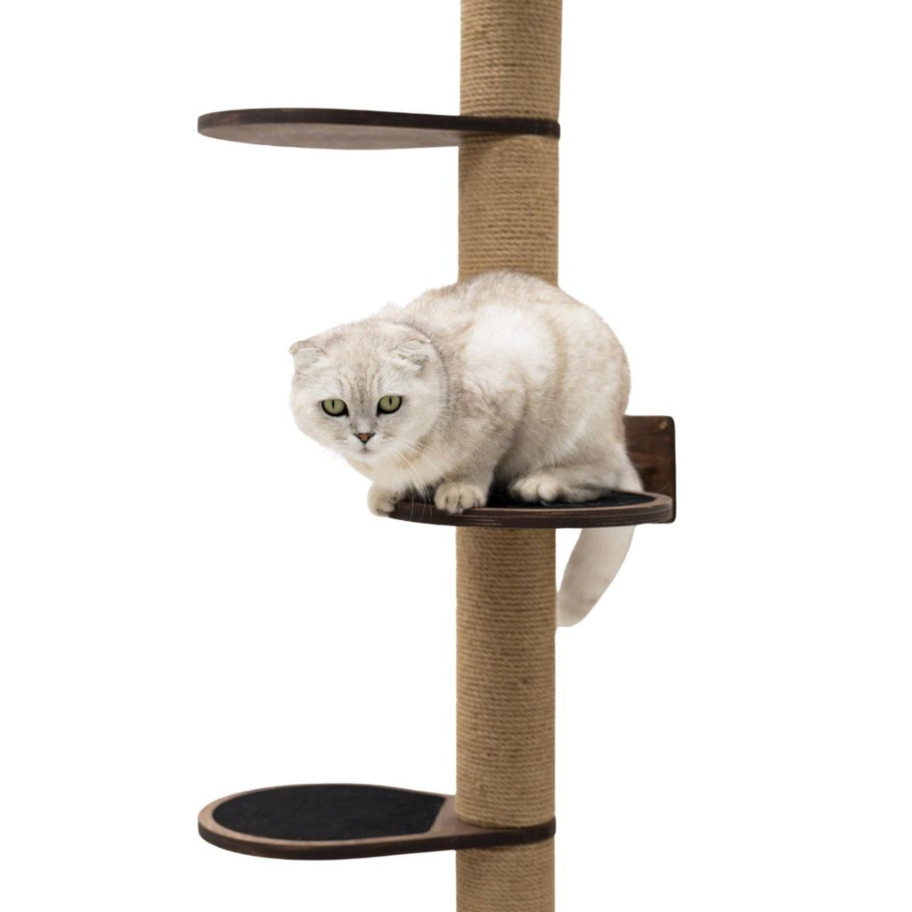 Large Cat Tree in Dark Walnut – Multi-Level Cat Furniture