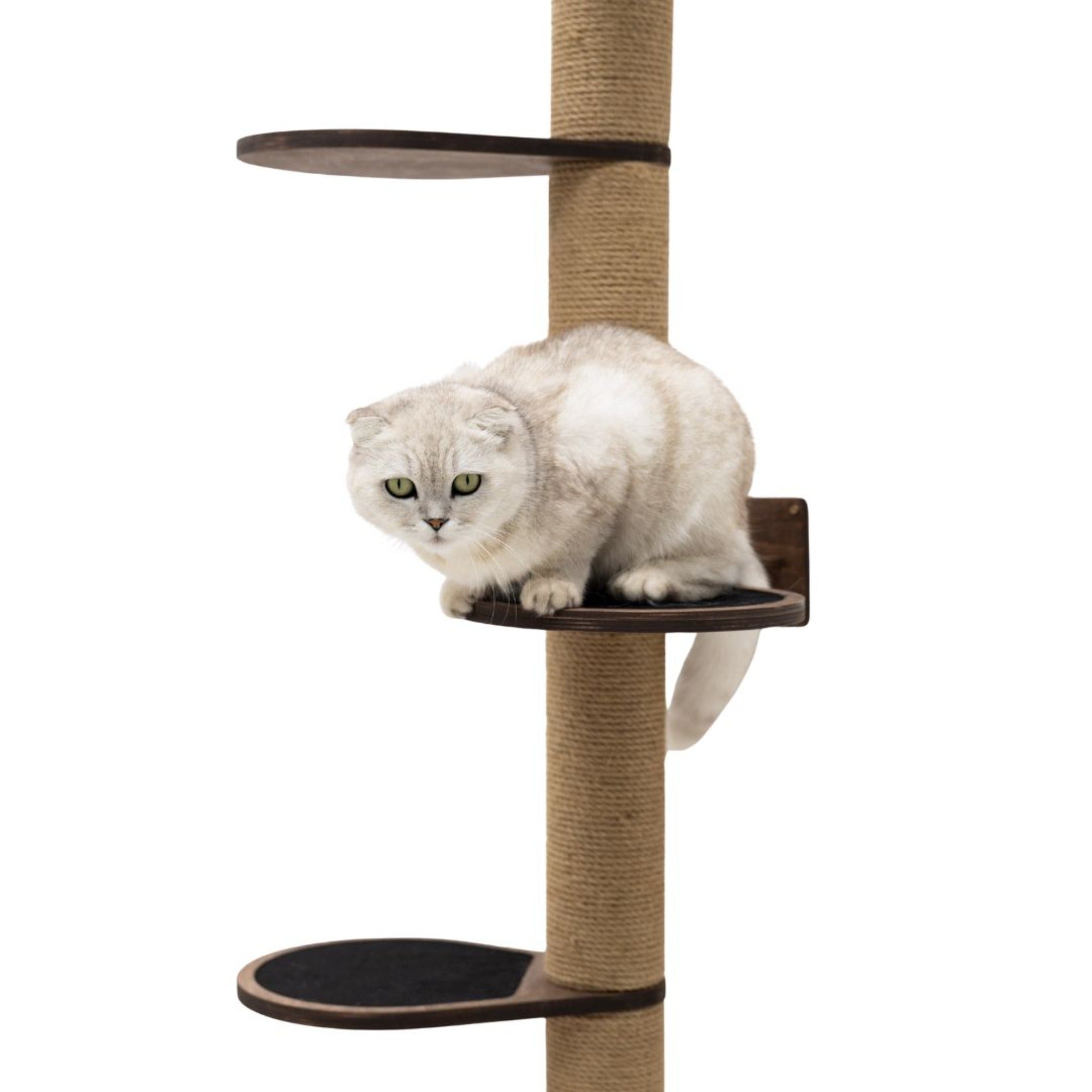 Large Cat Tree in Dark Walnut – Multi-Level Cat Furniture