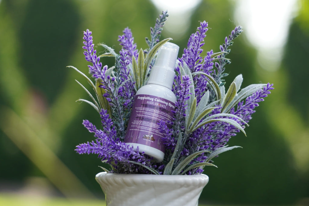 HuggleHug Lavender Bone & Calming Spray Set for Dogs