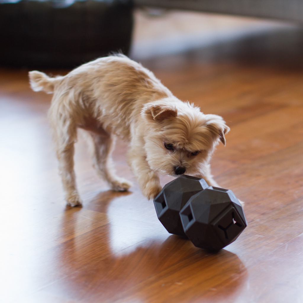 Odin Dog Puzzle Toy – Interactive Treat Dispenser and Slow Feeder