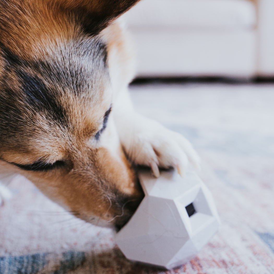 Odin Dog Puzzle Toy – Interactive Treat Dispenser and Slow Feeder