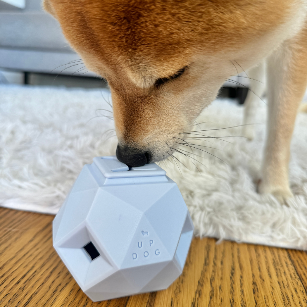 Odin Dog Puzzle Toy – Interactive Treat Dispenser and Slow Feeder