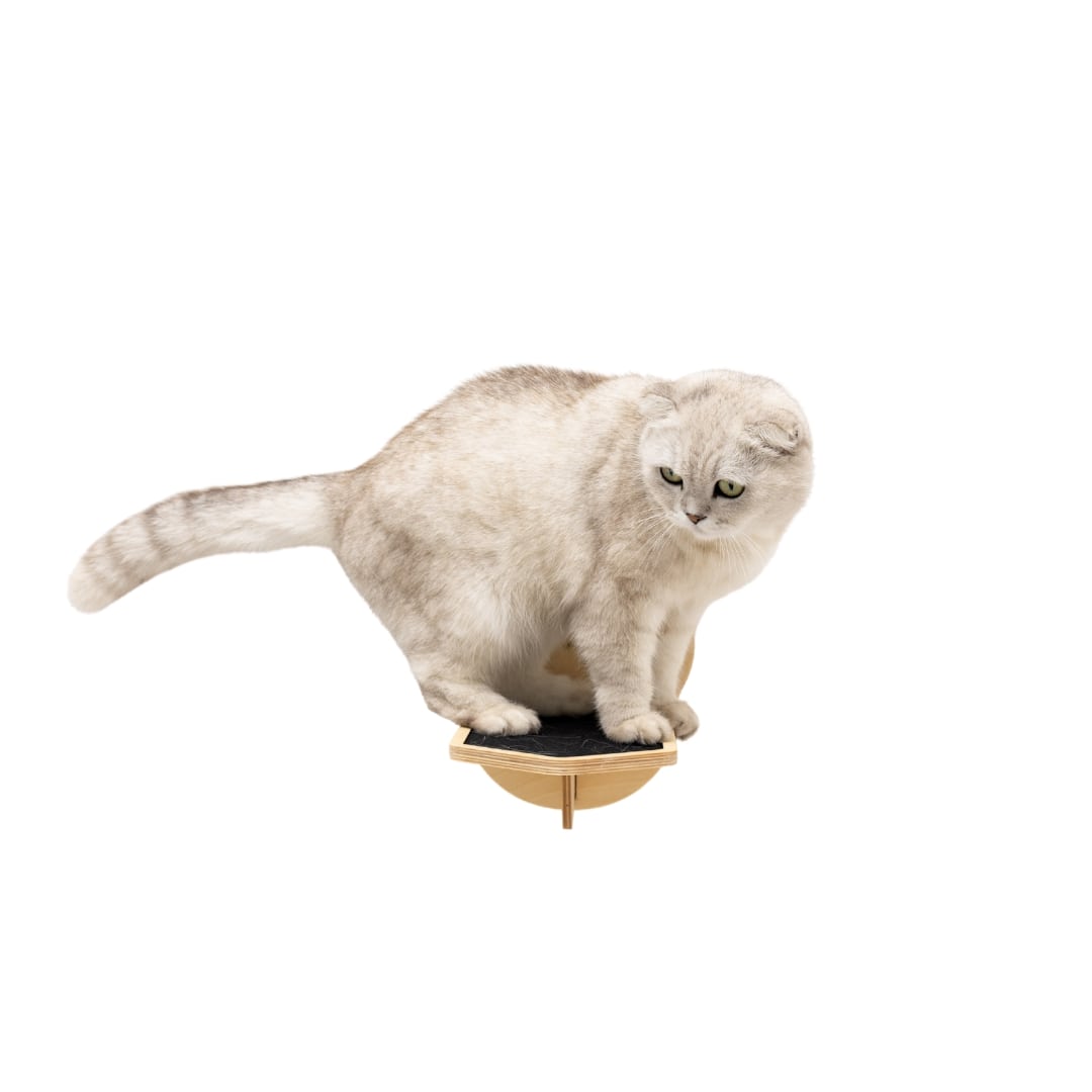 Wooden Cat Steps – Natural Finish