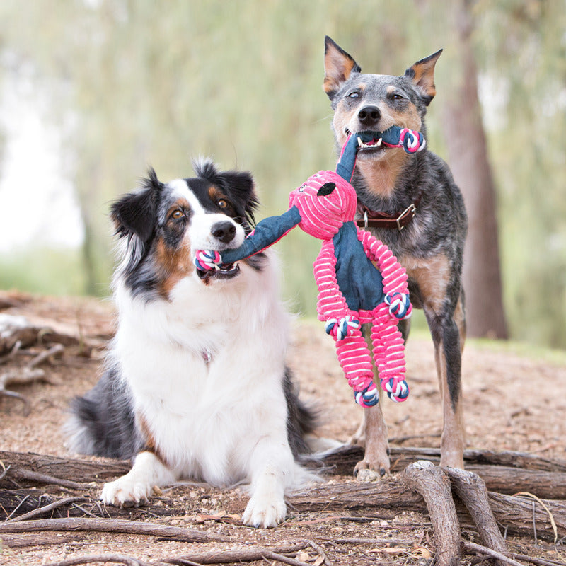 KONG Floppy Knots Dog Toy with Knotted Rope and Squeaker