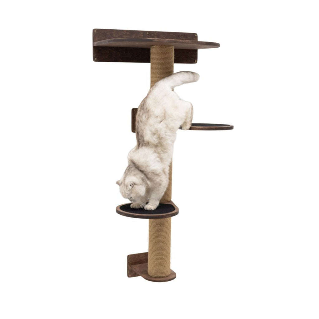 Medium Cat Tree – Dark Walnut, Plywood & Felt