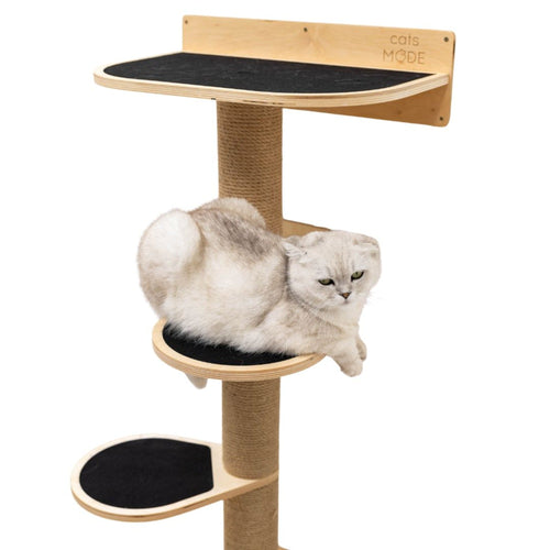 Medium Wall-Mounted Cat Tree – Light Finish