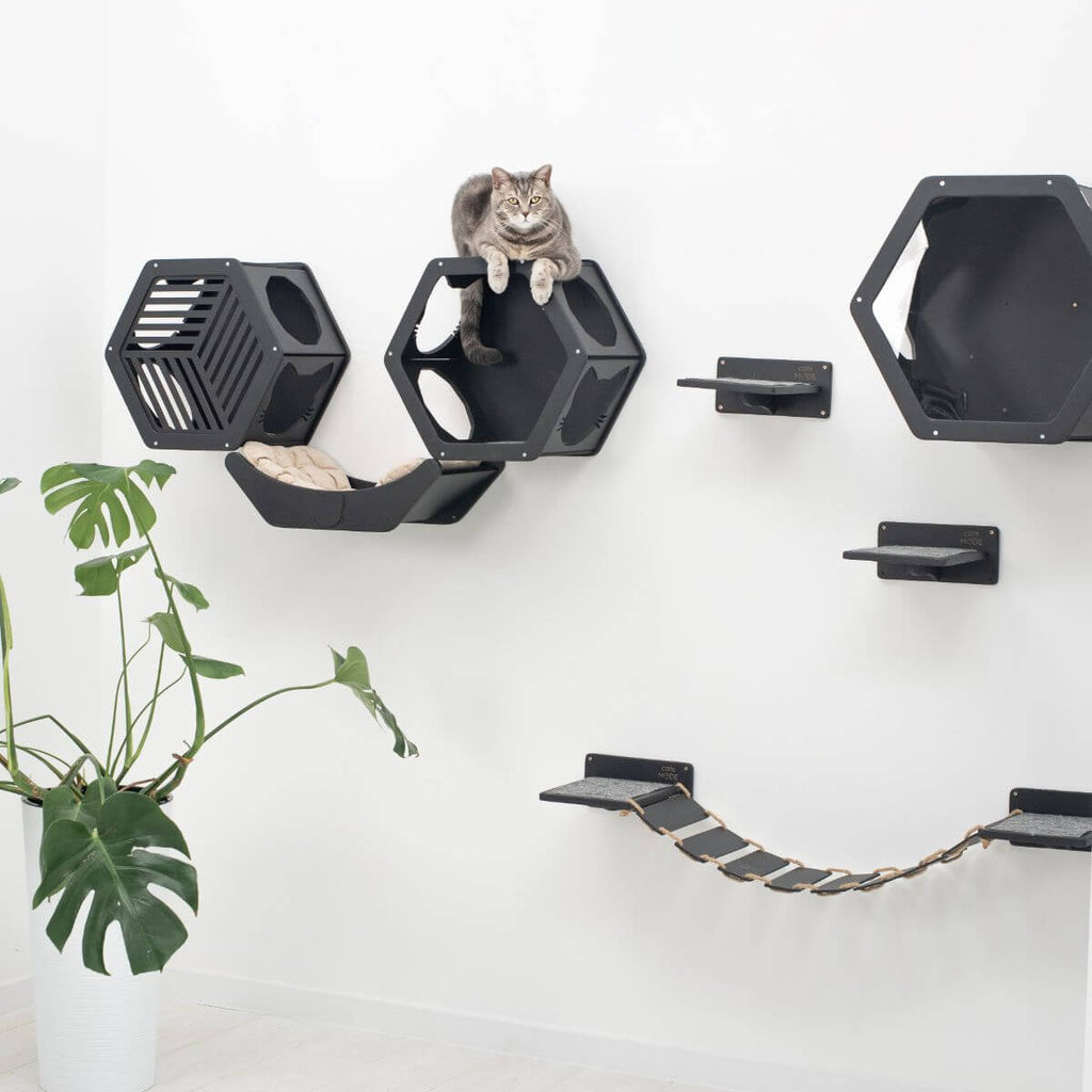 Curved Wall-Mounted Cat Bed – Space-Saving Lounger