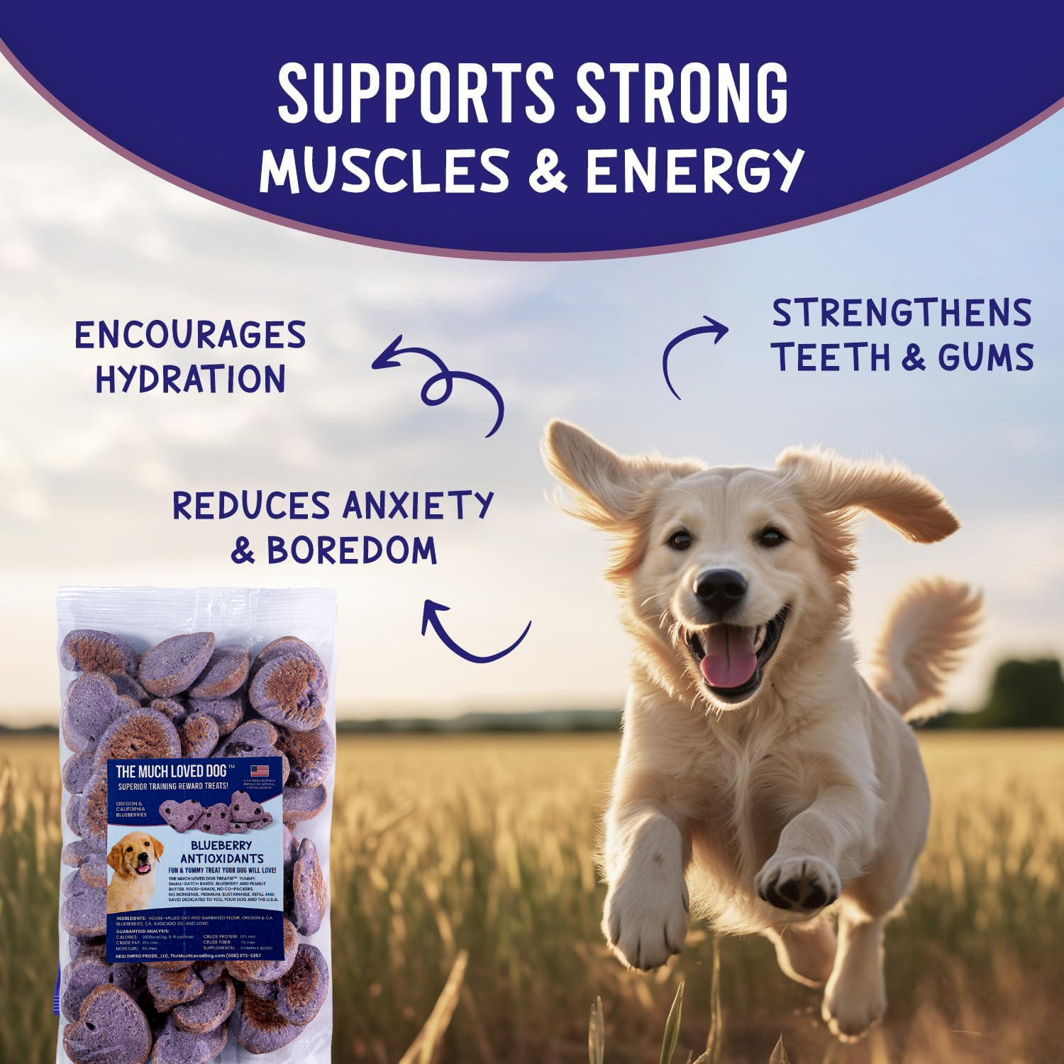 Blueberry Burst Dog Treats with Oat & Garbanzo Bean Flour
