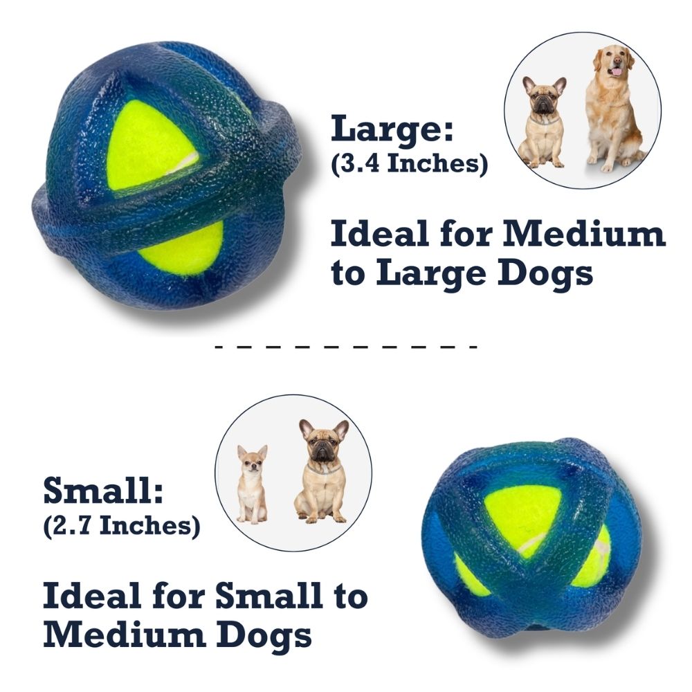 Agility Training Tennis Ball Dog Toy for Small & Large Breeds