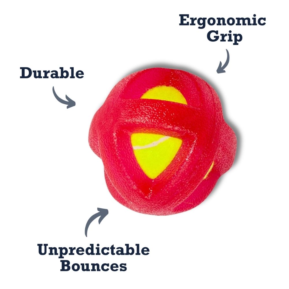 Agility Training Tennis Ball Dog Toy for Small & Large Breeds