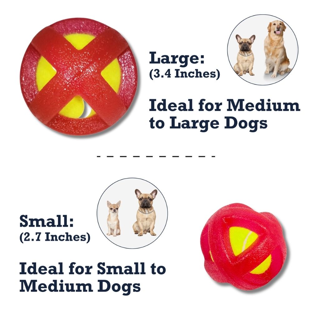 Agility Training Tennis Ball Dog Toy for Small & Large Breeds