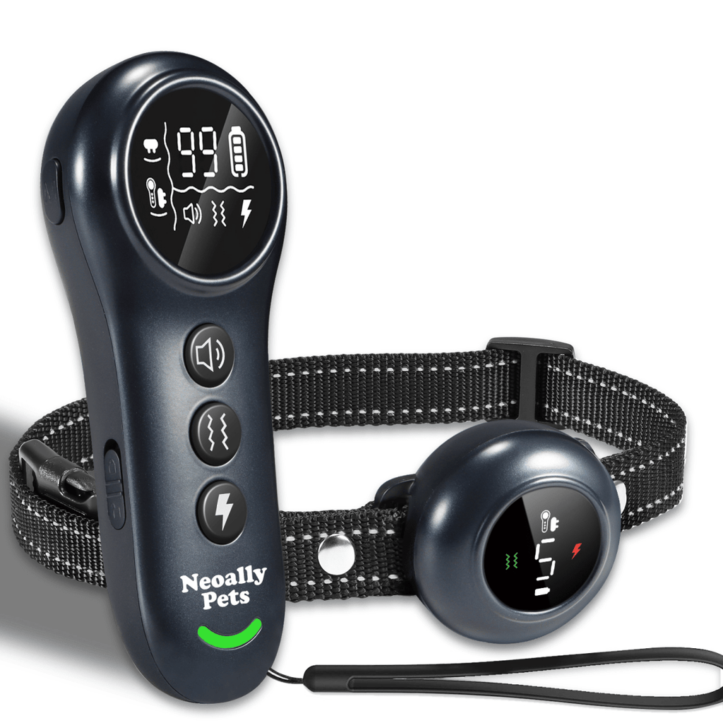 2-in-1 Dog Training and Bark Control Collar, Adjustable, Waterproof