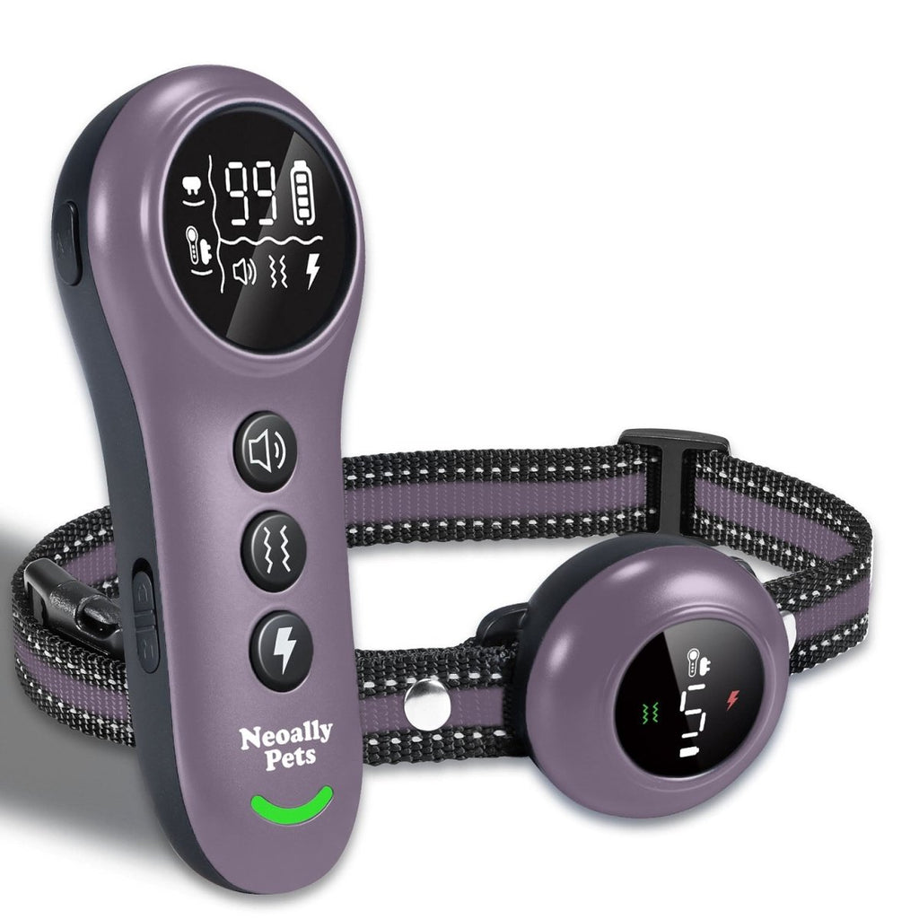 2-in-1 Dog Training and Bark Control Collar, Adjustable, Waterproof