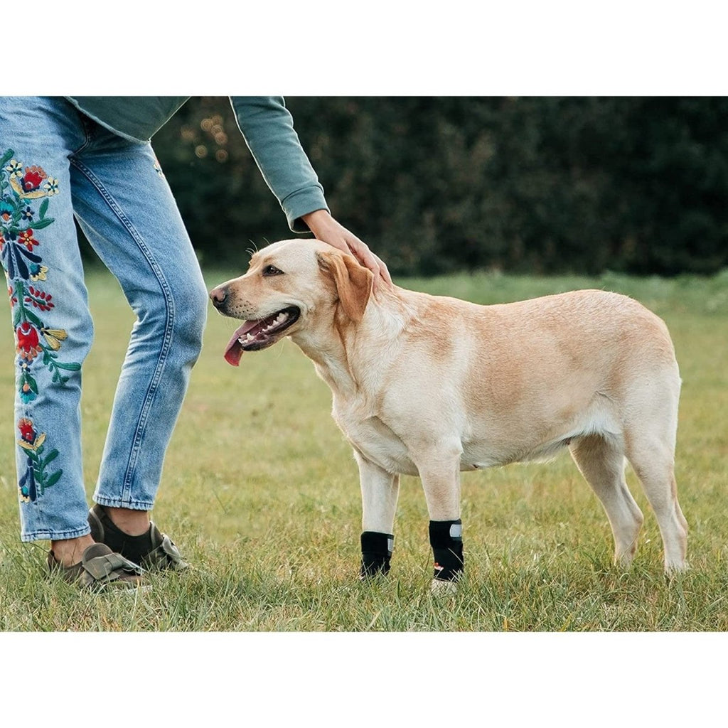 NeoAlly 3-in-1 Front Leg Dog Splint Braces with Neoprene