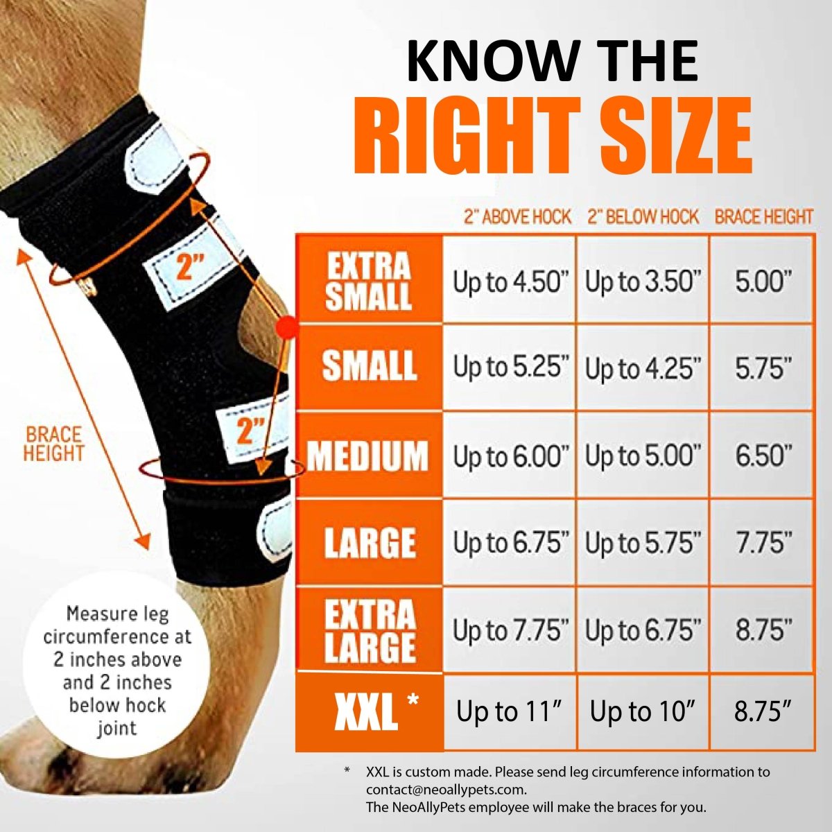 Rear Leg Braces for Dogs with Removable Metal Inserts (Pair)