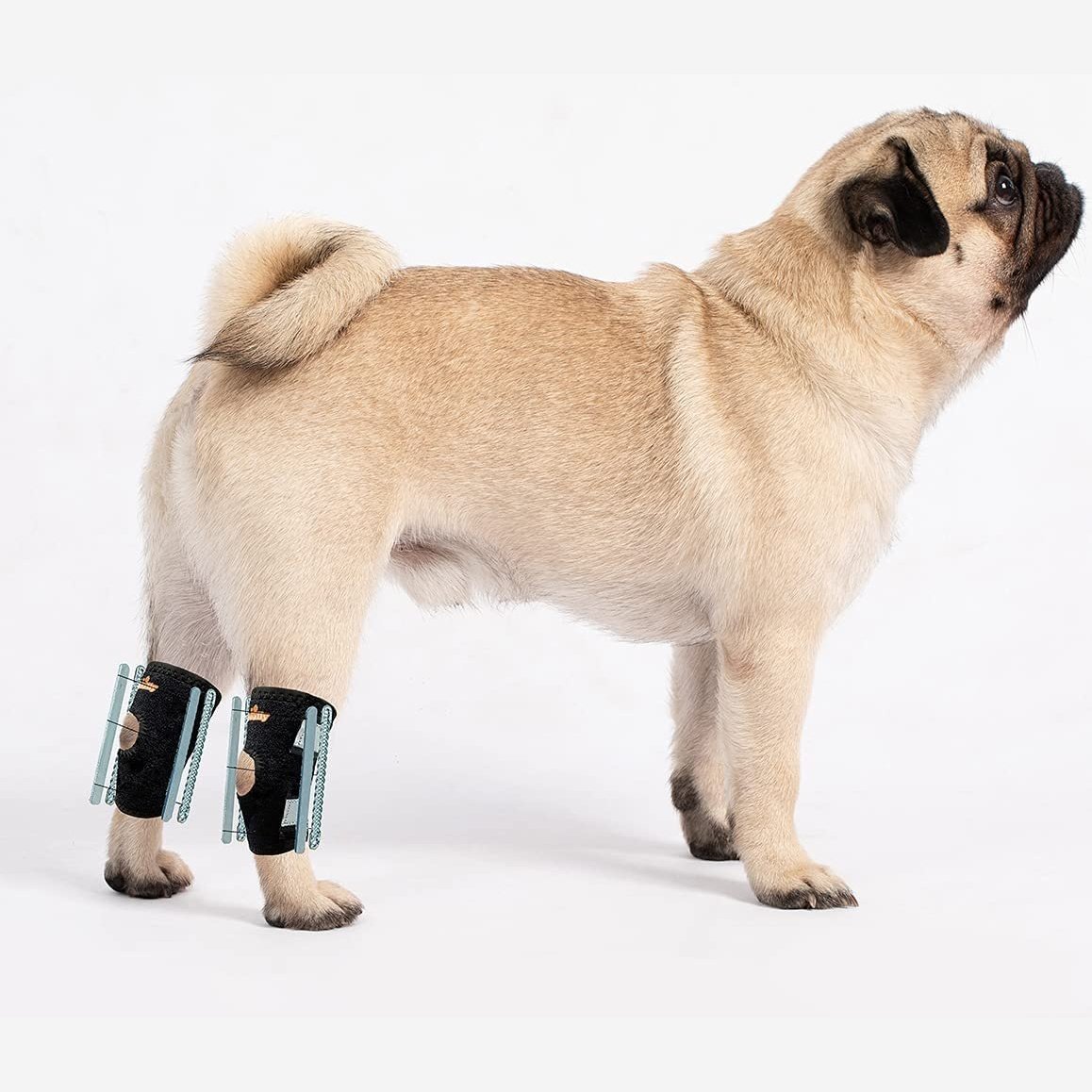Rear Leg Hock Braces for Dogs with Removable Metal Inserts (Pair)