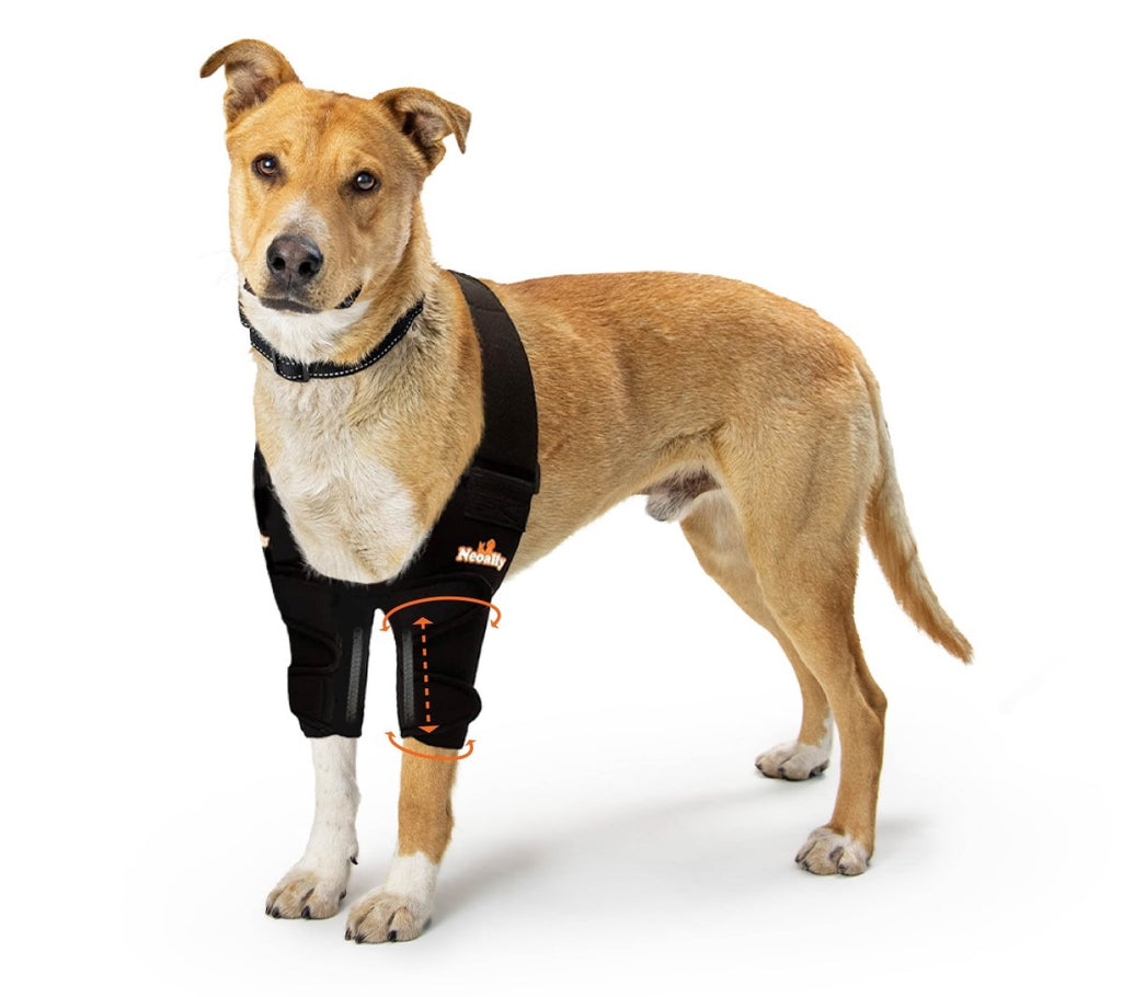 NeoAlly Elbow and Shoulder Brace with Spring Inserts for Pets