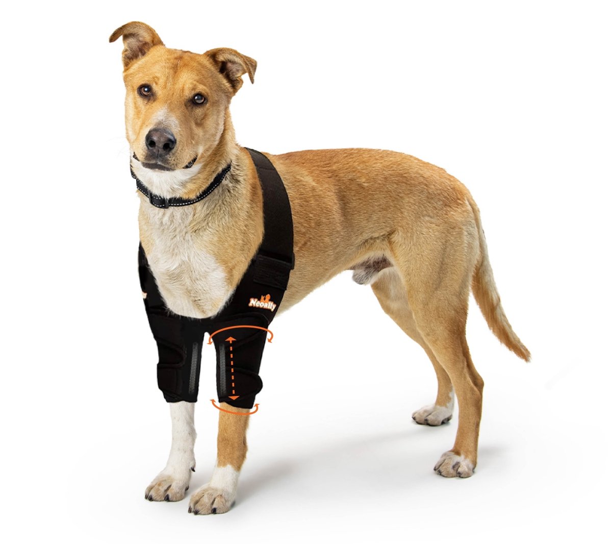 NeoAlly Elbow and Shoulder Brace with Spring Inserts for Pets