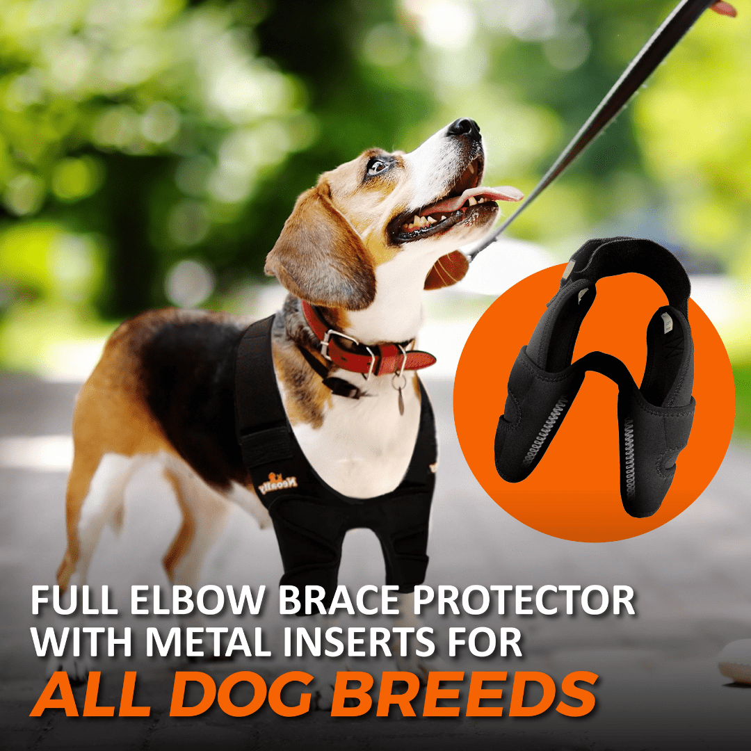 NeoAlly Elbow and Shoulder Brace with Spring Inserts for Pets