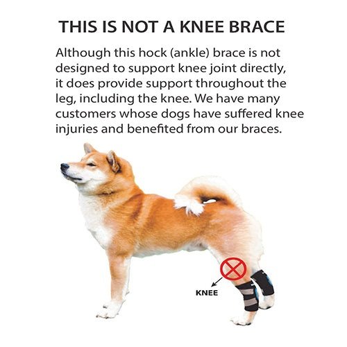 Back Hock Dog Braces, Pair – Neoprene and Nylon Support